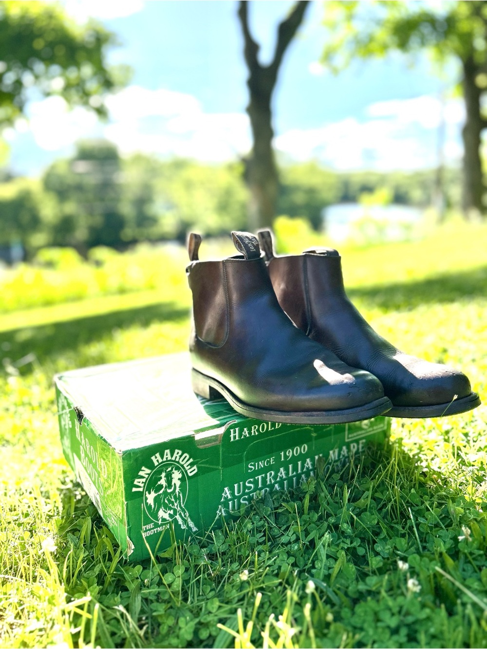 Harold's Men's Chelsea Boots - Dark Brown Leather size 9.5 Australia